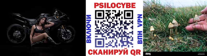 Псилоцибиновые грибы GOLDEN TEACHER  Южно-Сахалинск 